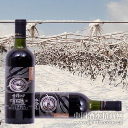 紫隆山紅寶石冰酒 品味時光凝萃，共創(chuàng)財富未來——通化紫隆山葡萄酒廠火熱招商